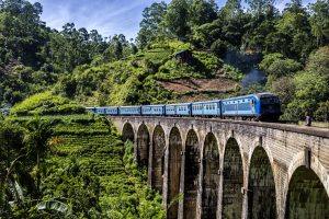 Blog artikel1 'De mooiste treinreis ter wereld, van Ella naar Nuwara Eliya'