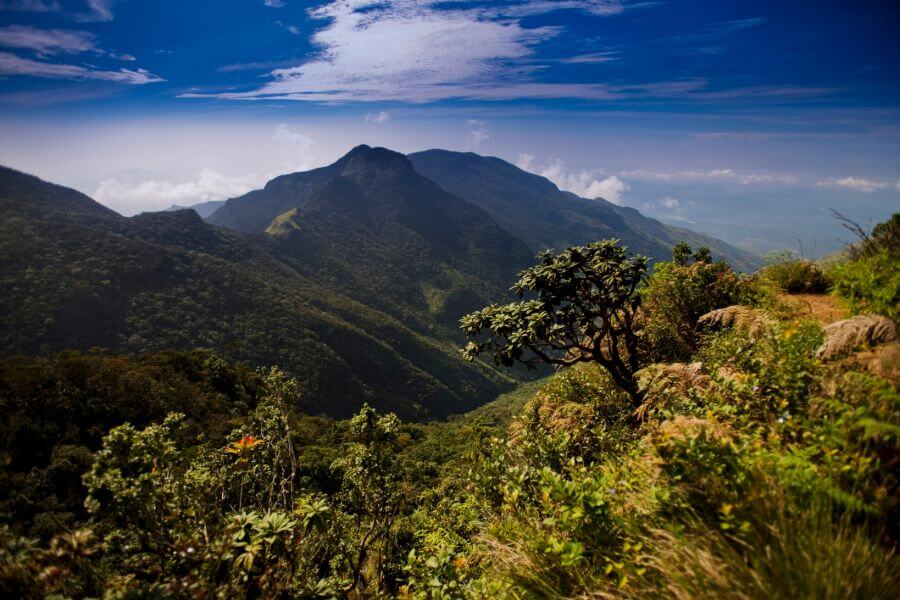 Sri Lanka Horton Plains Worlds End