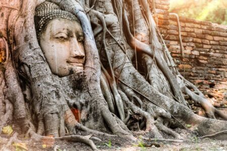 Gerelateerde tour Ayutthaya en Baan Hollanda