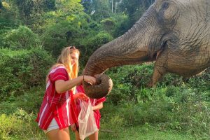 Blog artikel1 'Ethisch olifantentoerisme in Thailand'