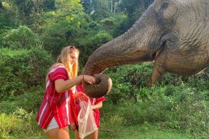 Blog artikel 'Ethisch olifantentoerisme in Thailand'