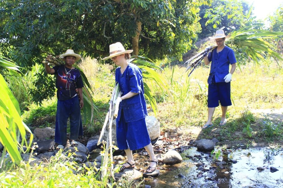 Thailand Chiang Mai Olifanten trainer voor 1 dag 03