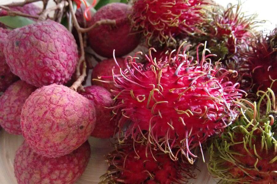 Thailand Eten Fruit Rambutan en Lychee