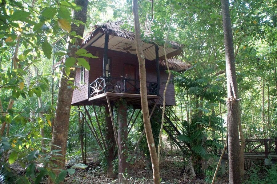 Thailand Khao Sok Boomhut