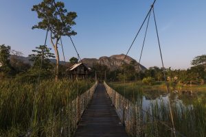 Blog artikel 'Glamping in Khao Yai Nationaal Park'