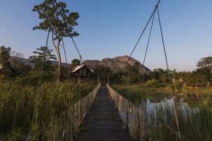 Blog artikel1 'Glamping in Khao Yai Nationaal Park'