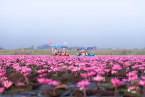 Blog artikel '5 hidden gems in Thailand die de moeite waard zijn'