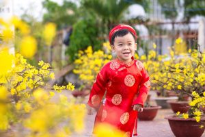 Blog artikel1 'Vietnamees Nieuwjaar 2020'
