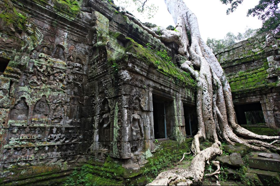 Cambodja Siem Reap Ta Prohm Angkor Wat temple