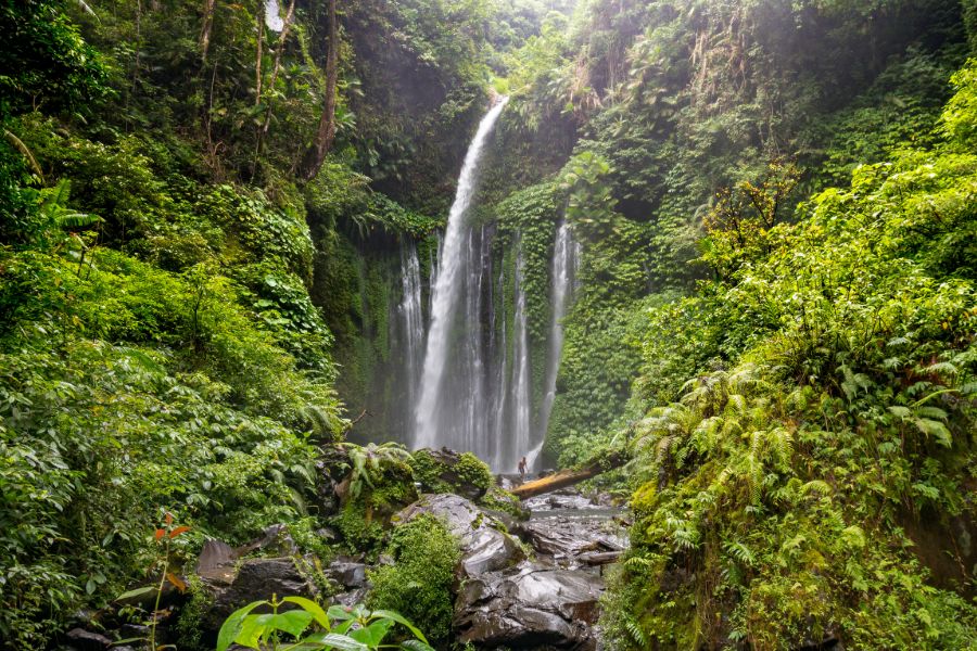 Indonesie Lombok Tiu Kelep waterval