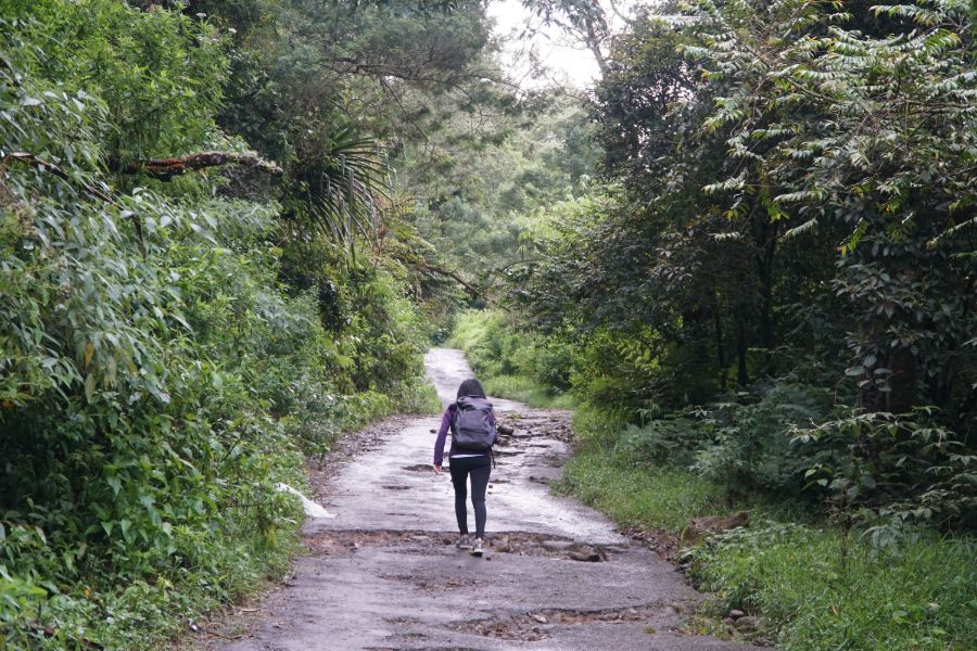 Indonesie Sumatra Berastagi Jungle trekking on Mount Sibayak Sibayak volcano