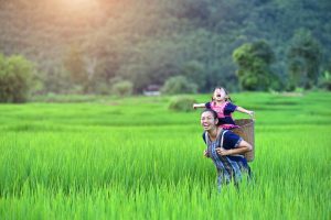 Reisvoorstel voor '15-Daagse rondreis Dwars door Vietnam (via Sapa)'