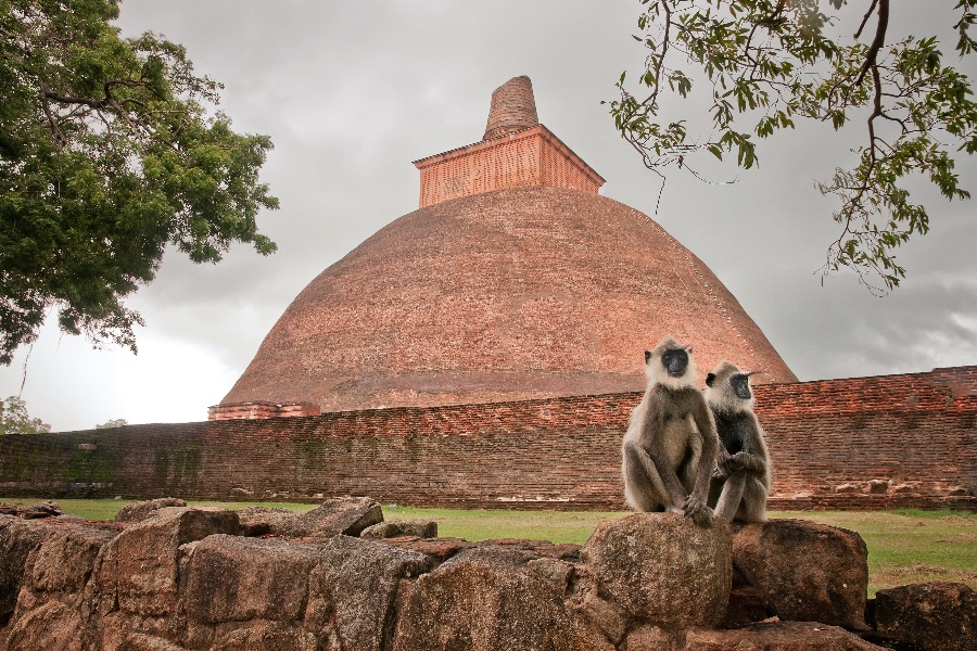 Sri Lanka Anuradhapura Jetavanaramaya Stupa