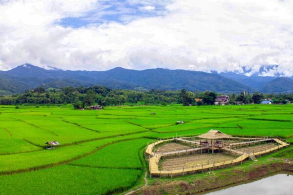 Ontdek Pua & Bo Klua in Nan