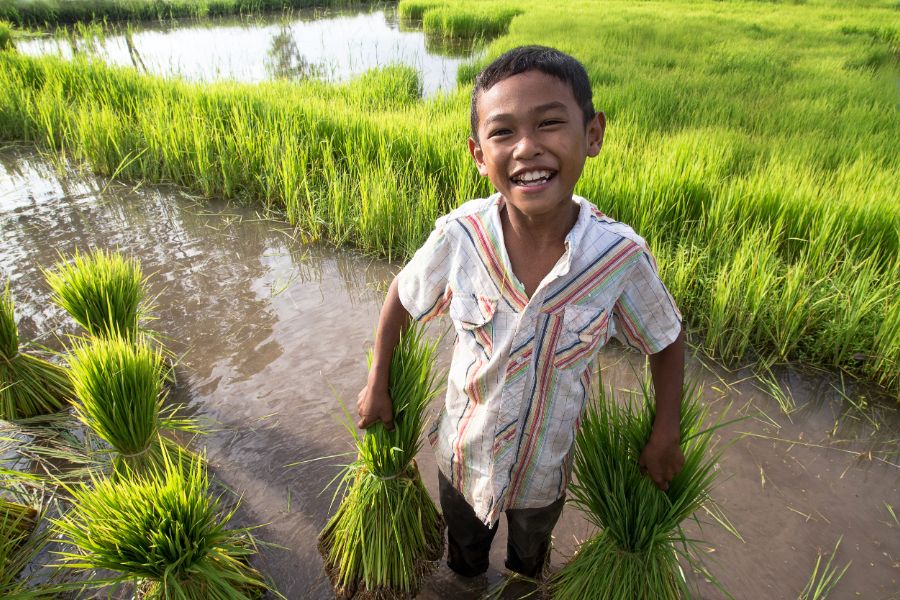 Thailand Pai rijstvelden kleine jongen inwoner