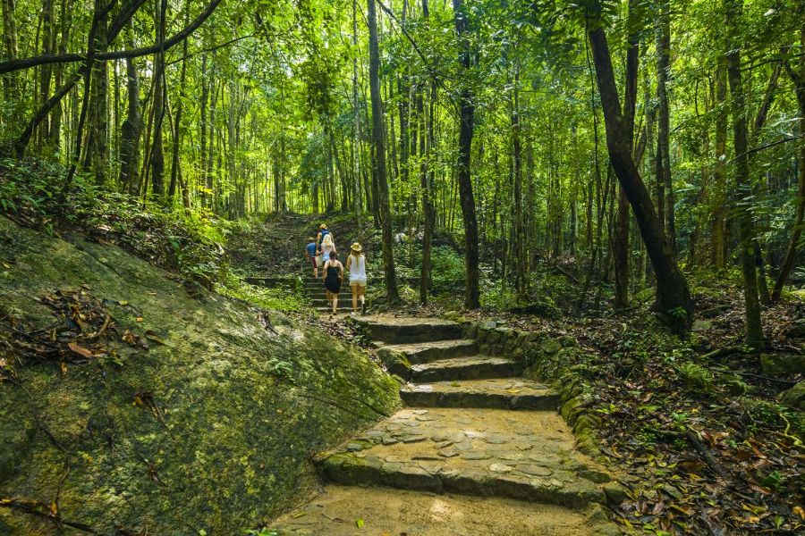 Thailand Phaeng Koh Phangan Stairs walkway through tropical rainforest jungletrekking 1