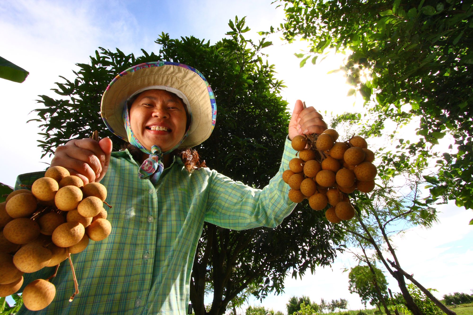 Thailand blije vrouw met longan bevolking