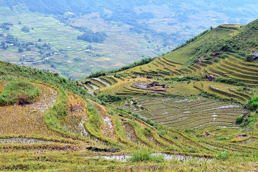 Vietnam Sapa Trekking rijstvelden landscape nature