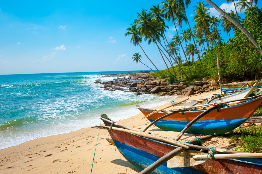 Reisvoorstel voor '18-Daagse rondreis Paradijselijk Sri Lanka'