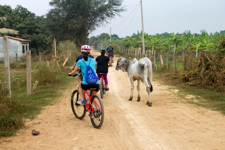 Dag 3: Ontdek de omgeving van Phnom Penh op de fiets