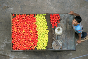 Blog artikel1 '10 unieke Indiase vruchten'