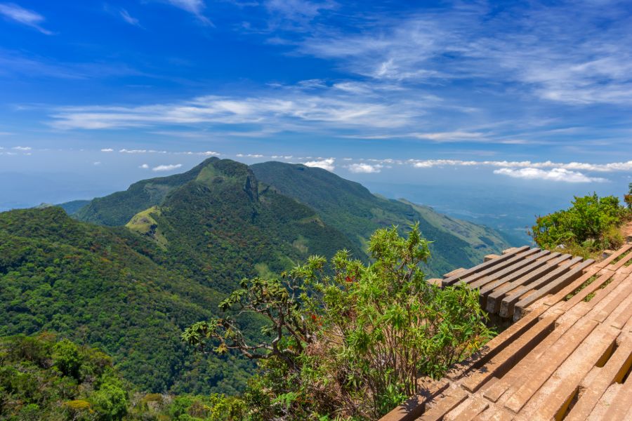 Horton Plains National Park 7