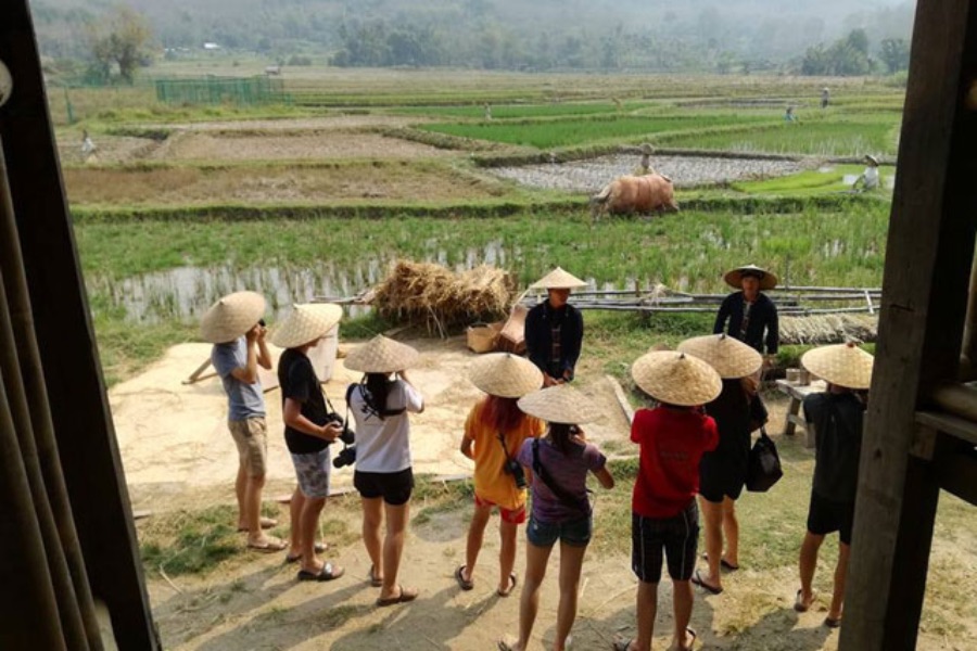 Laos Luang Prabang Living Land Farm