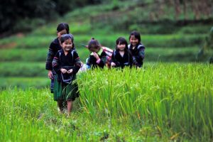3-daagse bouwsteen Sapa in luxe homestay