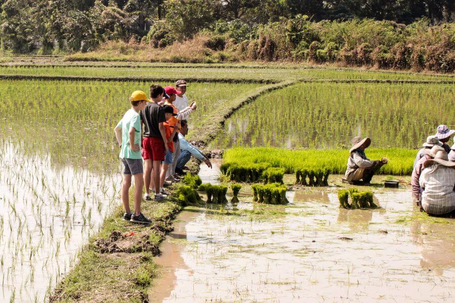 Thailand Chiang Mai Fietstour Fietsen rijstvelden kinderen familie