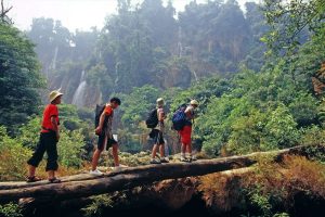 Boek de reis 'Wandelen, olifanten en raften in Chiang Mai'