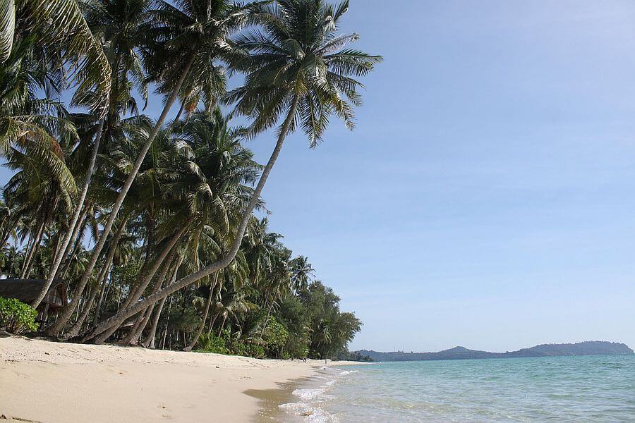 Thailand Koh Kood Strand palmbomen