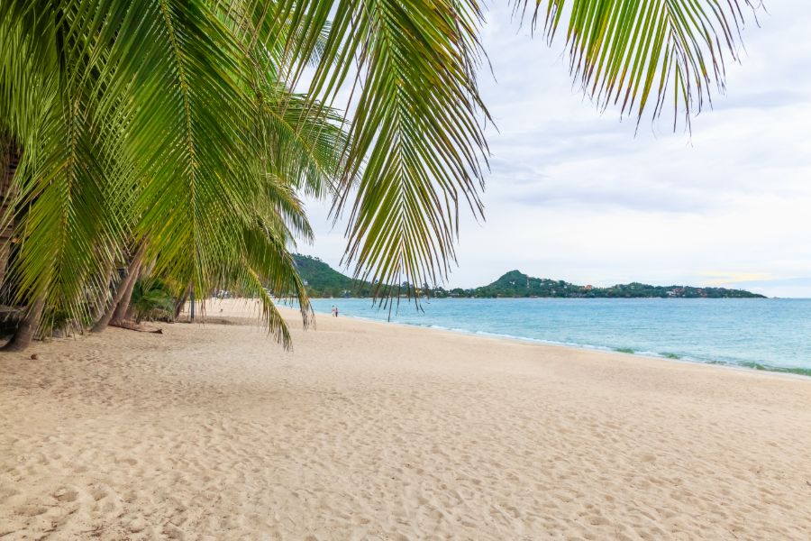 Thailand Koh Samui Lamai Beach prachtig strand palmbomen