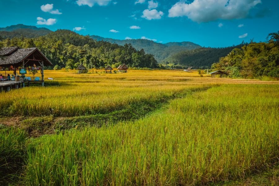 Thailand Pai uitzicht