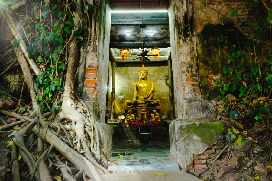 Thailand Samut Songkhram Bangkok Wat Bang Kung tempel boeddha in boom