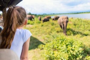 Reisvoorstel voor '16-Daagse familiereis Echt Sri Lanka'