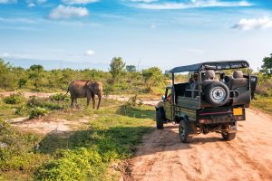 Jeepsafari in Udawalawe National Park