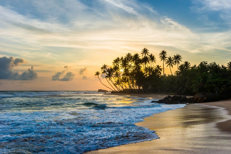 Reisvoorstel voor '16-Daagse rondreis Verrassend Sri Lanka'
