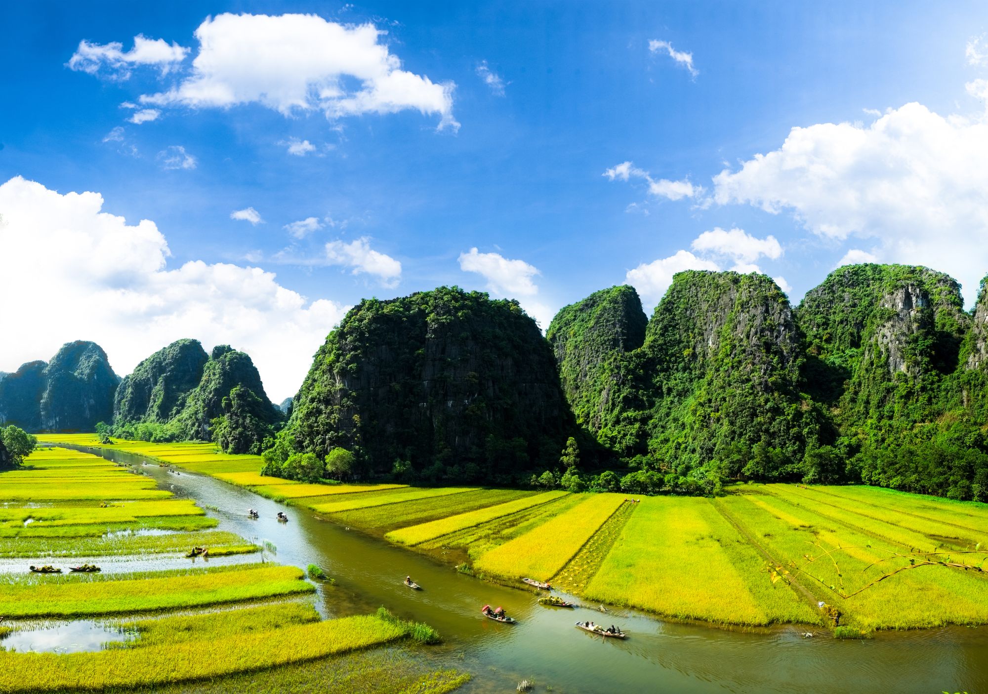 Vietnam Ninh Binh boten en kalksteenrotsen