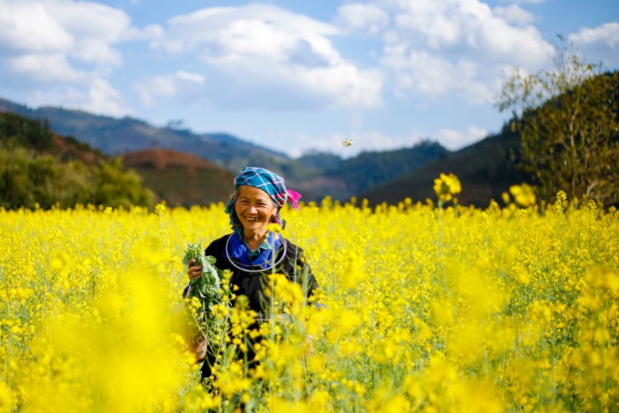 Vietnam Sapa 6