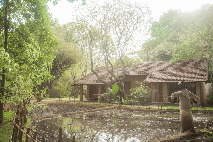 Hotel Sri Lanka Sigiriya Sigiriya Village20