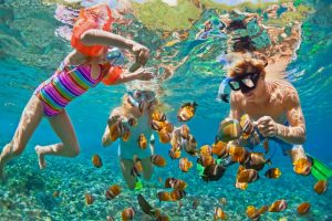 Snorkelen rondom Menjangan Island