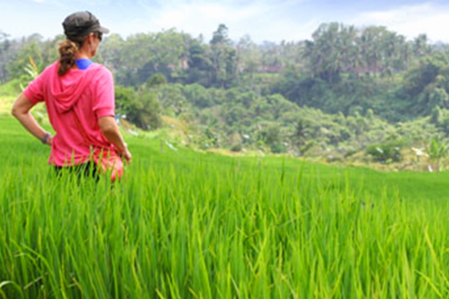 Indonesie Bali Wandeling door de rijstvelden..