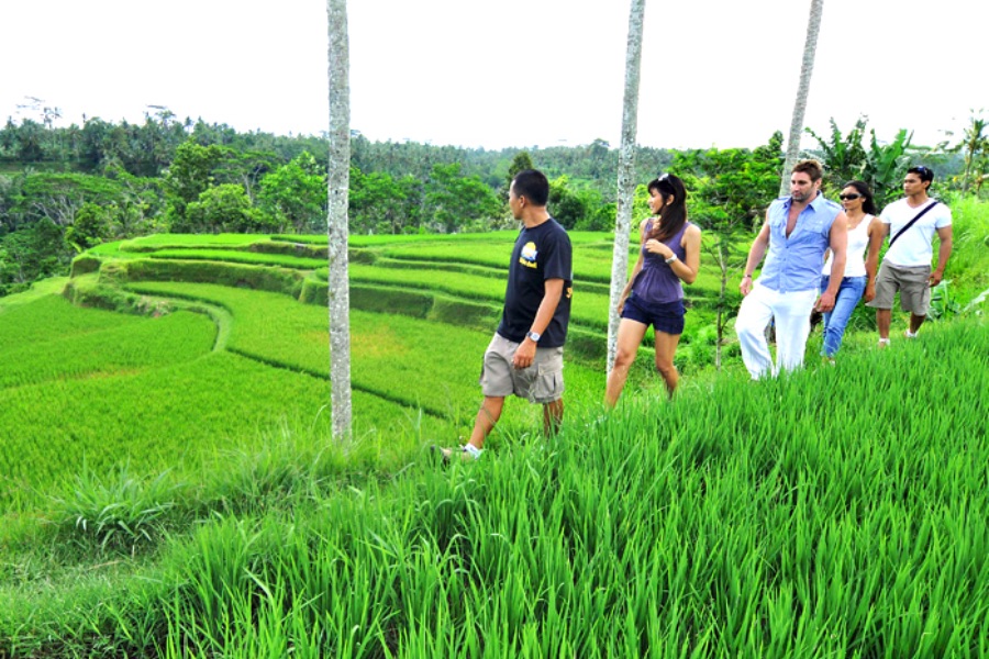 Indonesie Bali Wandeling door de rijstvelden.