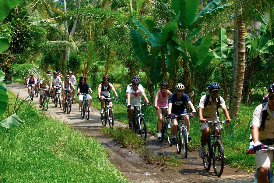 Indonesie Bali groep fietsers tussen de rijstvelden