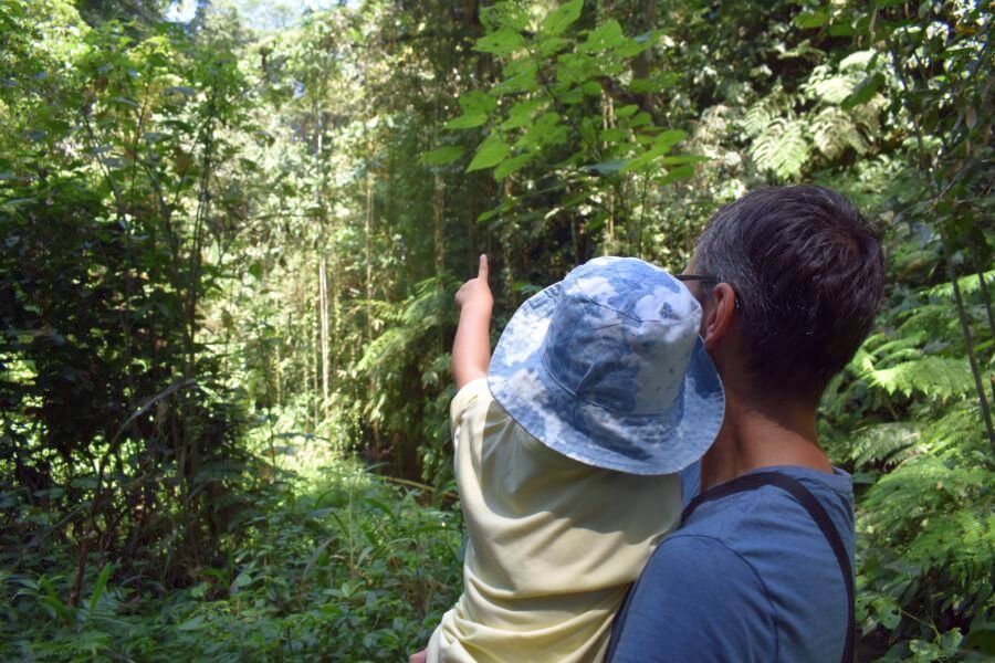 Indonesie Bali wandelen door de jungle en rijstvelden