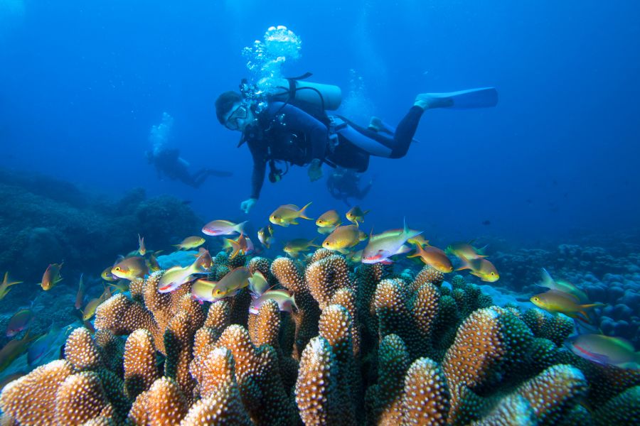 Indonesie Raja Ampat boten strand zee tropisch eiland duiken snorkelen koraal vis