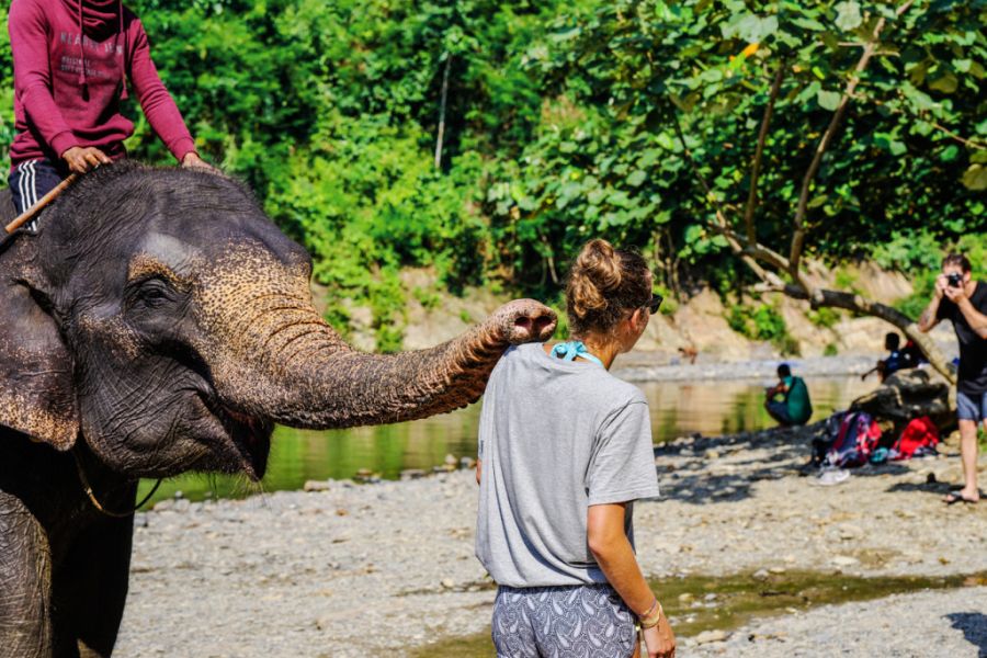 Indonesie Sumatra Tangkahan jungle trekking met olifanten wassen 2