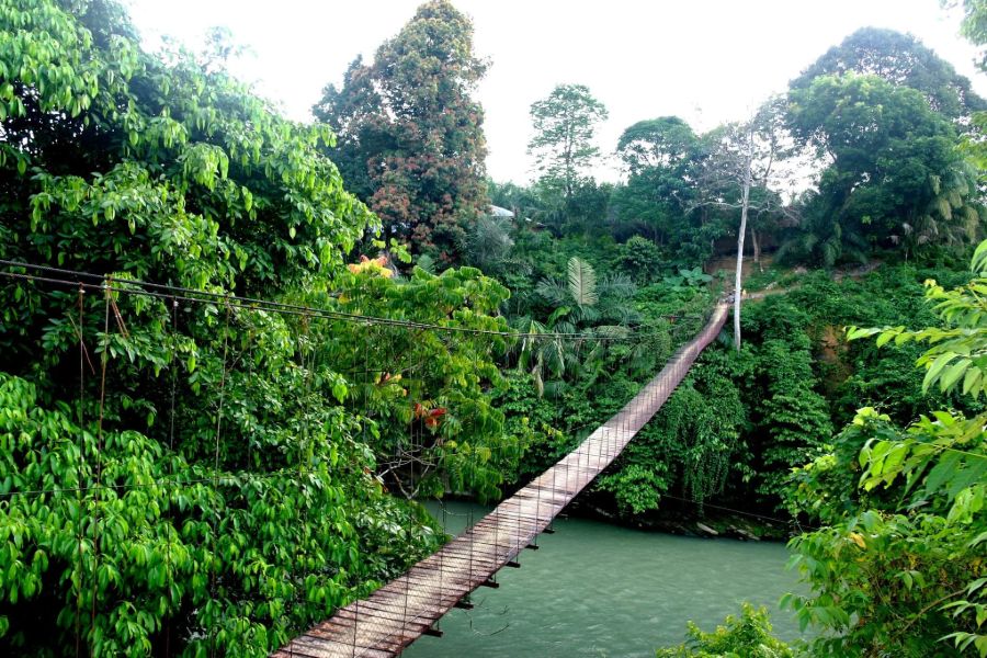 Indonesie Sumatra Tangkahan jungle trekking met olifanten wassen rivier en brug