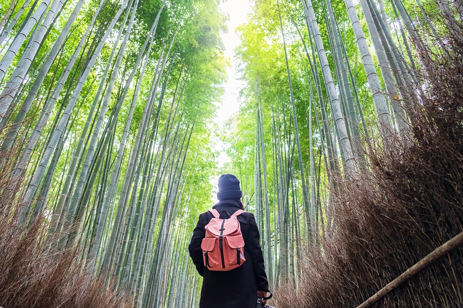Japan Kyoto Arashiyama bamboebos toerist