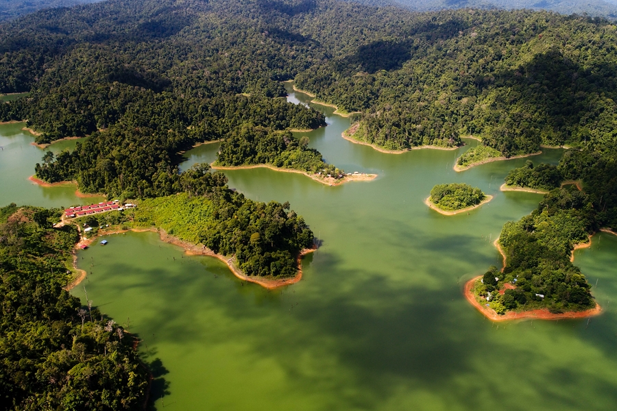 Maleisie Belum Forest regenwoud overview